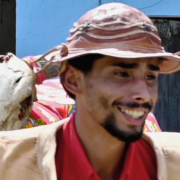 O BOI DO CANÁRIO, VIVE!
