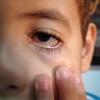 A Inteligência Artificial Contra a Estupidez Natural na Oficina do Diabo