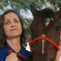 Abandonar um Cavalo
