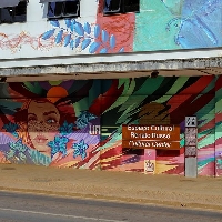Frutos da Memória