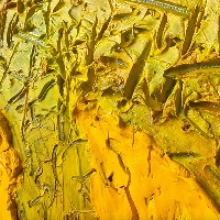 Verso-Cerrado
